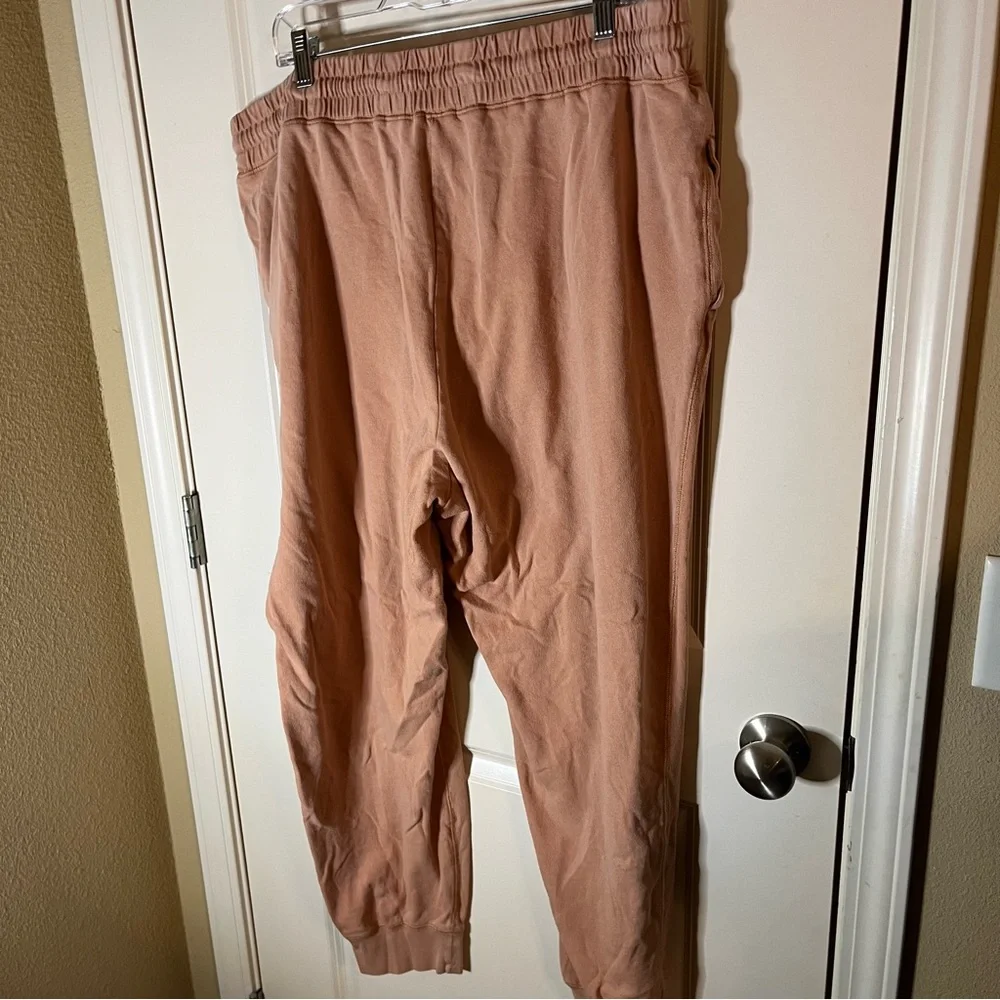 J Crew Distressed Joggers